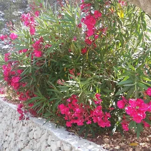  Appartamento Cala Galdana